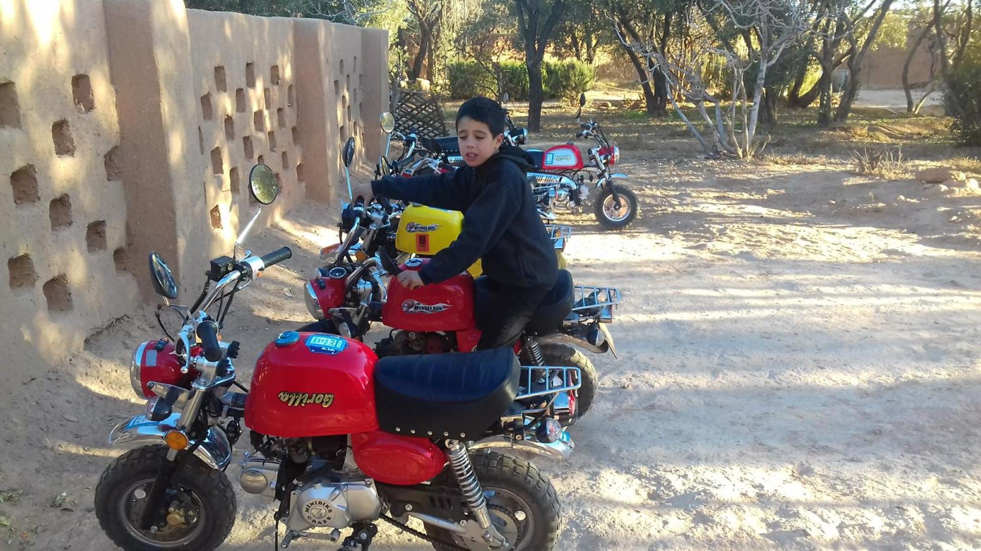 Ecolodge Miss Rose Chez La Famille Boumalne Dades ภายนอก รูปภาพ